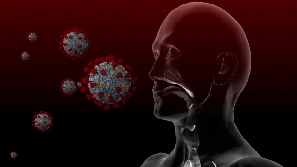 Để lây nhiễm vào một người bình thường, virus SARS-CoV-2&nbsp;cần phải liên kết với một loại enzyme có trên bề mặt các tế bào hô hấp (Hình minh họa)