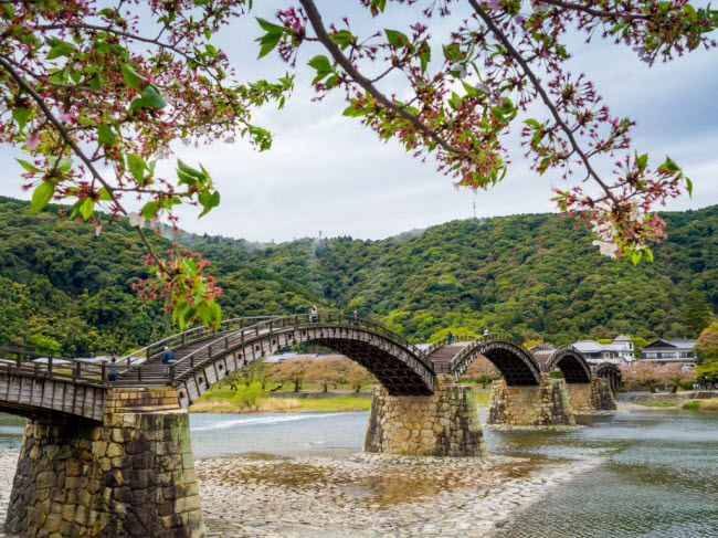Cầu Kintaikyo, Nhật Bản: Cây cầu là một trong những địa danh nổi tiếng nhất ở thành phố Iwakuni. Không giống như nhiều cây cầu khác,  Kintaikyo được xây dựng bằng gỗ với 5 kết cấu vòm nằm trên trụ đá bắc qua sông Nishiki.
