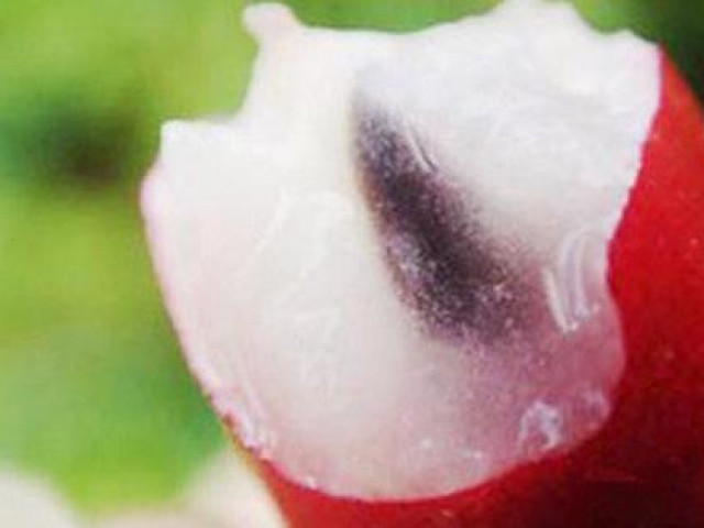 Ẩm thực - Chị em đổ xô truy lùng quả "giả dối" có thể biến mọi thứ đắng, chua, cay thành ngọt ngào