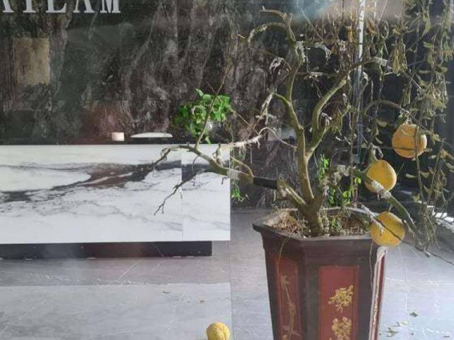 Pháp luật - Giám đốc "mất tích" cùng 900 tỷ ở Hải Phòng: Có nạn nhân đầu tư hơn 170 tỷ