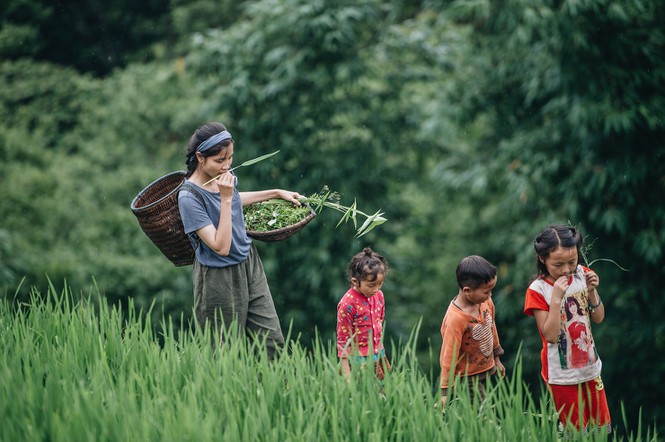 “Thanh xuân rực rỡ” với gian bếp trên đỉnh đồi của Tâm An - 4