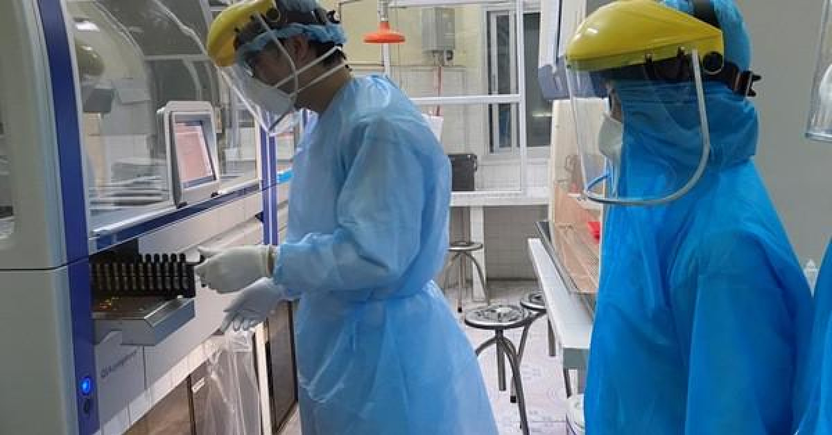 Tin tức trong ngày - Hải Phòng: Chưa phê duyệt đấu thầu, chưa chỉ định thầu mua hệ thống máy xét nghiệm Covid-19