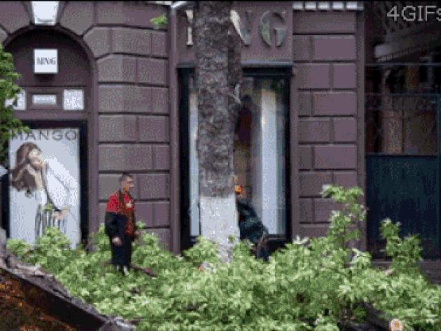 Tranh vui - Những tình huống thoát nạn khó tin khi "thần chết ngủ quên"