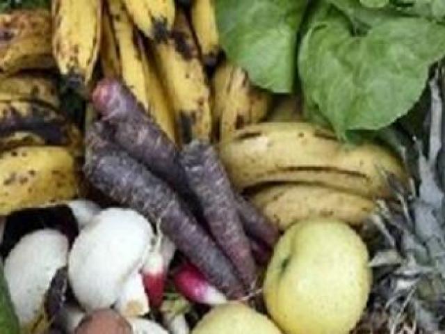 Kinh doanh - "Giải cứu" thứ vứt đi, hai start up trẻ thu về hàng trăm tỷ đồng