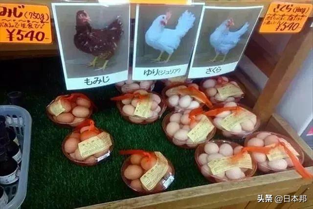 Tại sao người Nhật lại thoải mái ăn trứng sống dù nó có thể gây ngộ độc, thậm chí là tử vong - 7