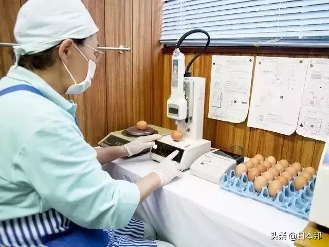 Tại sao người Nhật lại thoải mái ăn trứng sống dù nó có thể gây ngộ độc, thậm chí là tử vong - 5