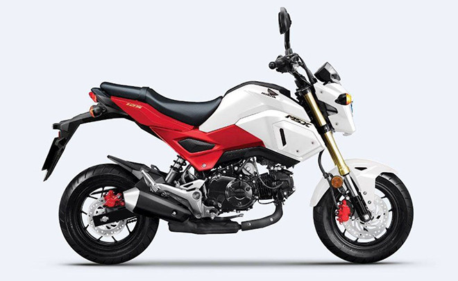 "Xe khỉ" Honda MSX 125cc 2020 sắp về đại lý - 1