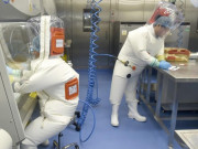 Thế giới - Động thái của ông Trump chấm dứt hàng triệu USD chảy vào Viện virus học Vũ Hán?