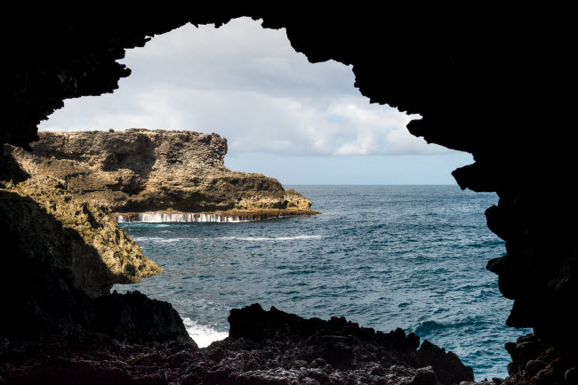 Animal Flower, Barbados: Hang động trên đảo St. Lucy có hướng nhìn trực tiếp ra Đại Tây Dương. Du khách có thể bơi, ngắm cảnh và thưởng thức các món hải sản tại nhà hàng ngay trong hang động.
