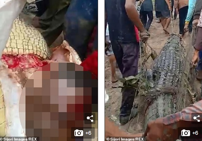 Dân làng mổ bụng con cá sấu và phát hiện mảnh thi thể người quen.