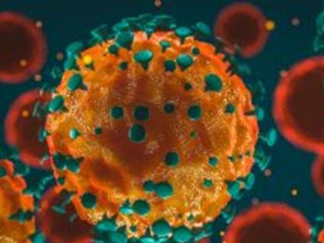 Tin tức trong ngày - Dịch COVID-19 tối 29/4: Phát hiện chủng mới nguy hiểm hơn tất cả các chủng còn lại