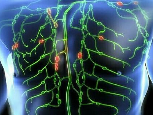 Sức khỏe đời sống - Cách kích thích 8 vùng bạch huyết giúp cơ thể chóng khỏi đau ốm