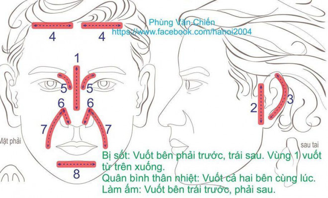 Cách kích thích 8 vùng bạch huyết giúp cơ thể chóng khỏi đau ốm - 6