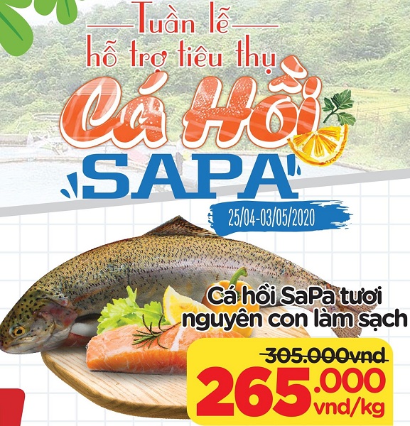 Cá hồi Sa Pa tăng giá mạnh, nguy cơ “khan hiếm” hàng mùa du lịch - 4