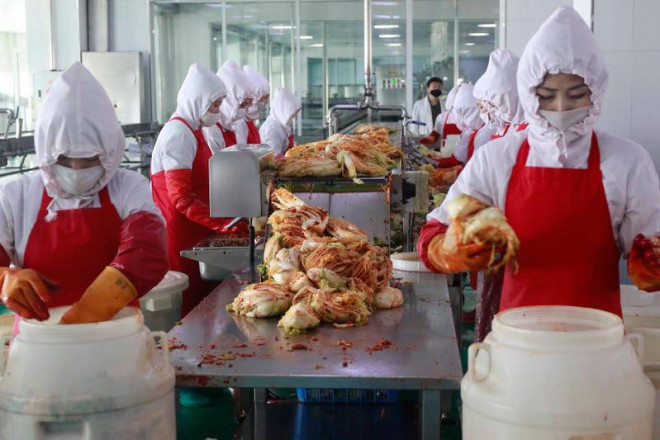 Công nhân làm việc tại nhà máy kim
chi Ryugyong ở Bình Nhưỡng ngày 24-4. Ảnh: AP