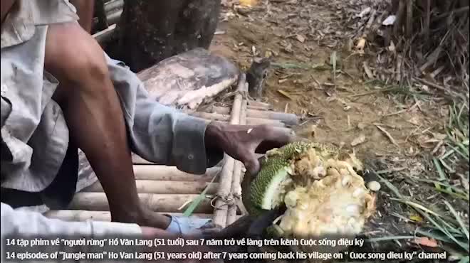 Sau 7 năm về làng, cuộc sống "người rừng" Hồ Văn Lang giờ ra sao?