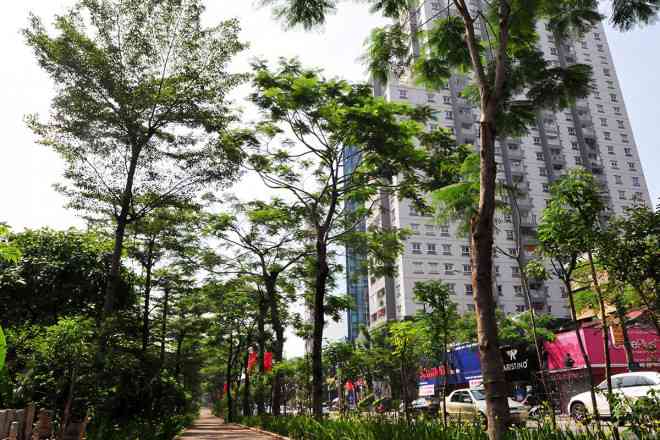 Cận cảnh tuyến đường đi bộ cực đẹp mới xuất hiện trên phố Thái Hà, Hà Nội - 6