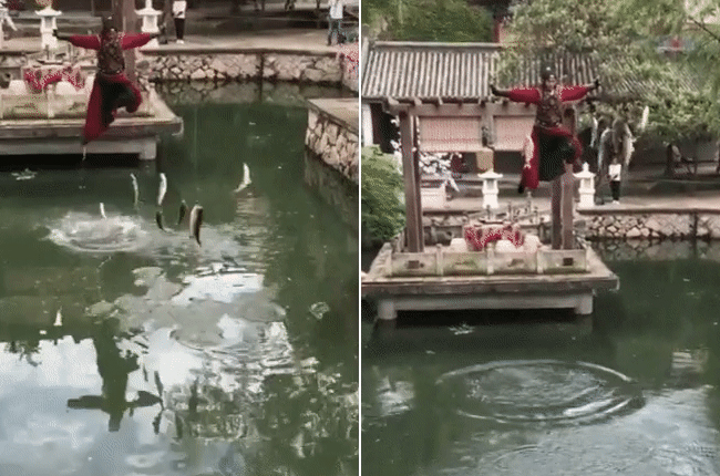 Trong phim cổ trang Trung Quốc thường có những cảnh nhân vật sử dụng khinh công bay trên trời và dùng thần lực tạo nên cột sóng dưới hồ nước khiến những con cá cũng bay lên. Tuy nhiên, sự thực là những chú cá bị buộc vào dây, kéo lên cùng với diễn viên.