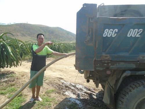 Anh Nguyễn Quốc Việt đang bơm nước cho vườn thanh long 5.000 trụ của anh Đinh Văn Thanh