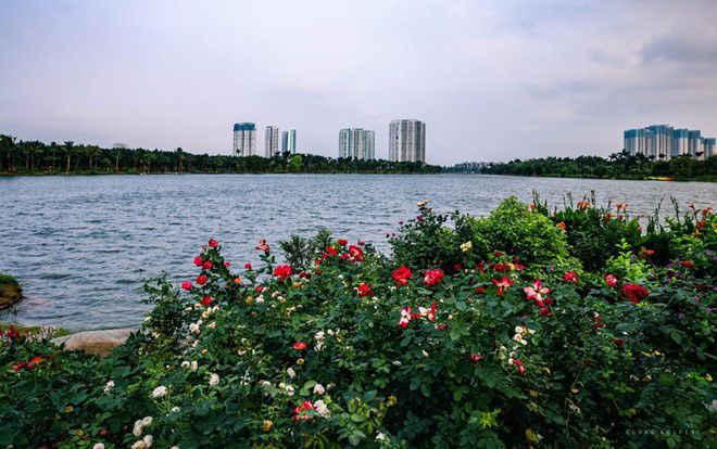 Cận cảnh bể bơi giữa lưng chừng trời của toà tháp sinh đôi đẳng cấp nhất Ecopark - 14