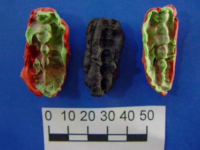 Pháp luật - Thi thể thiếu nữ xinh đẹp bị trói trong nghĩa trang: Bằng chứng từ bã kẹo cao su