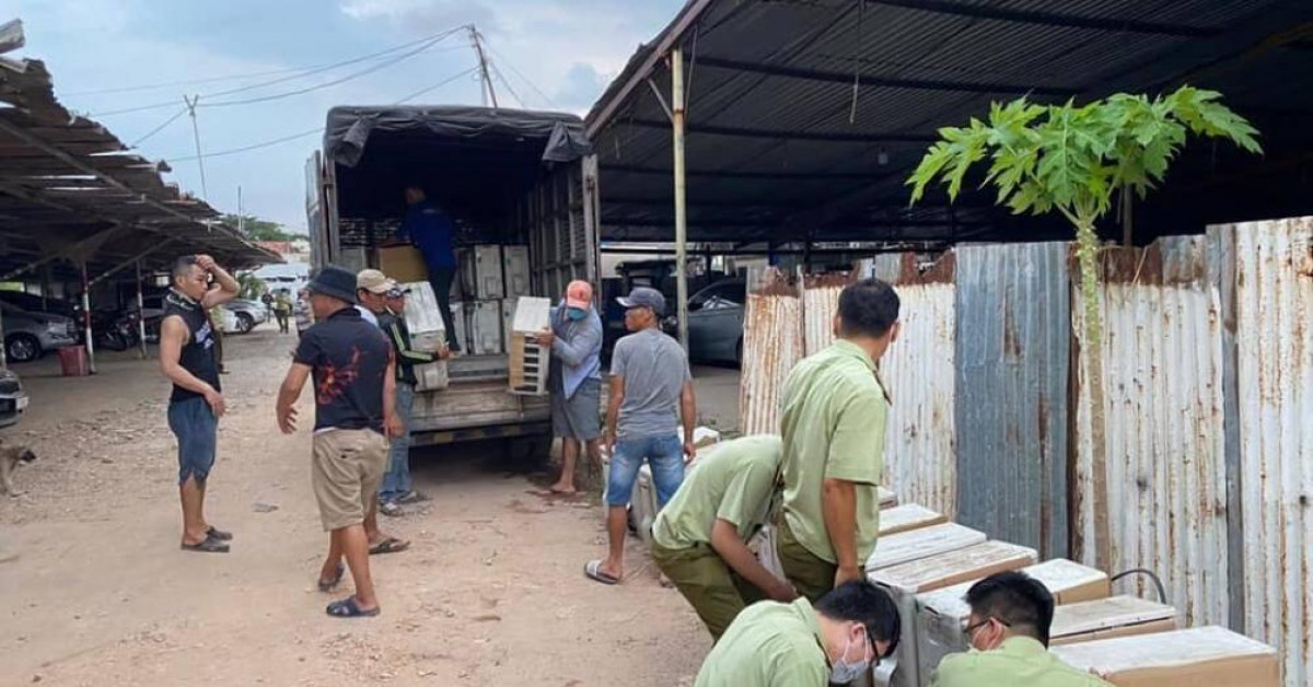 Thị trường - Tiêu dùng - Thu giữ lô hàng điện lạnh "khủng" đã qua sử dụng nhập lậu vào TP HCM