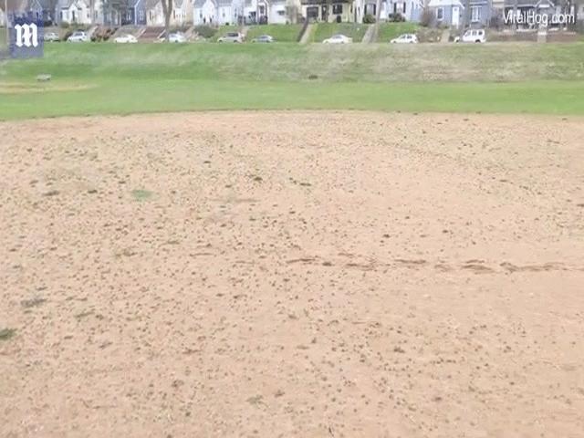 Phi thường - kỳ quặc - Video: Vừa được thả tưởng thoát chết, chuột bị kết liễu trong tích tắc bởi "bá chủ" bầu trời