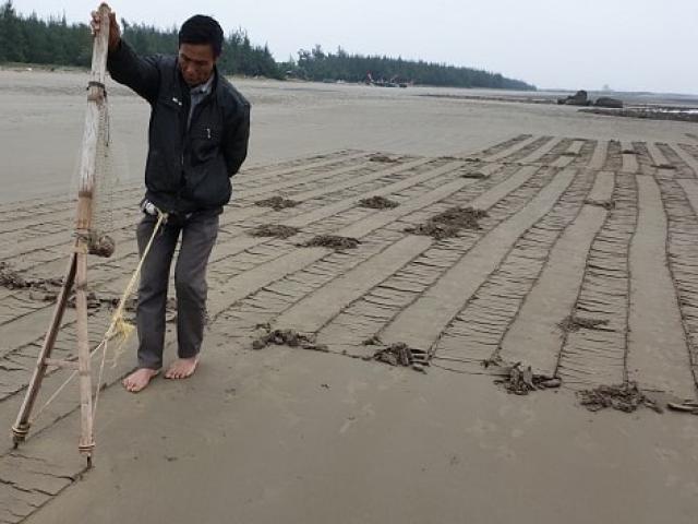 Kinh doanh - Ở Việt Nam có nghề đi cày... trên biển, "1 vốn 8 lời"