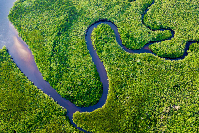 Con sông chảy qua khu rừng nhiệt đới Daintree ở Australia. Dòng sông trông khá hẹp khi nhìn từ xa, nhưng bạn sẽ thấy nó lớn hơn nhiều, khi đứng trên bờ.
