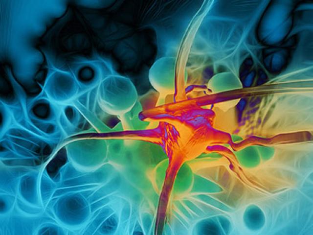 Sức khỏe đời sống - Làm ngay những việc này giúp "tránh mặt" hàng loạt bệnh ung thư nguy hiểm nhất