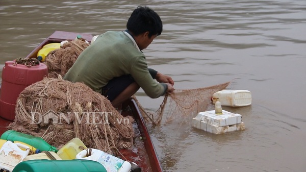 Anh Hoạn đang thả lưới giữa dòng sông Đà khởi đầu cho quá trình đánh bắt loài cá măng nổi tiếng trên dòng sông Đà.