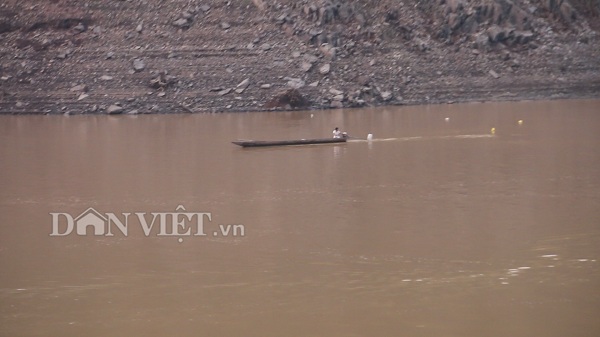 Theo chân ngư phủ sông Đà săn cá măng khủng ví như "thủy quái" - 3