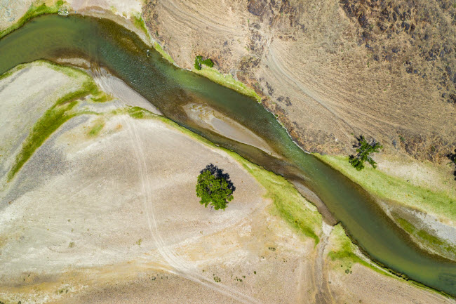 Dòng sông nước xanh lá cây chảy qua sa mạc khô cằn Gobi ở Mông Cổ.
