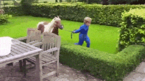 Cái kết "sấp mặt" của những con người không tự lượng sức mình - 5