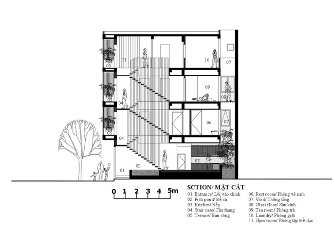 Mặt cắt phối cảnh chung của toàn bộ ngôi nhà.