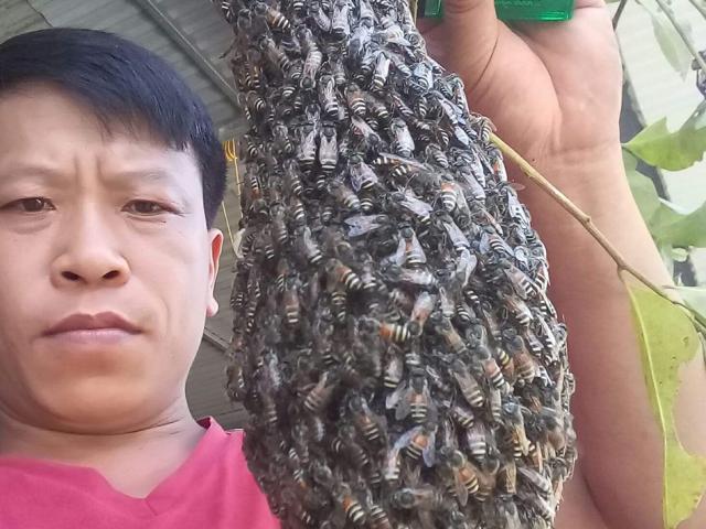 Tin tức trong ngày - Rùng mình cảnh dị nhân “vua ong”chơi đùa với hàng nghìn con ong rừng