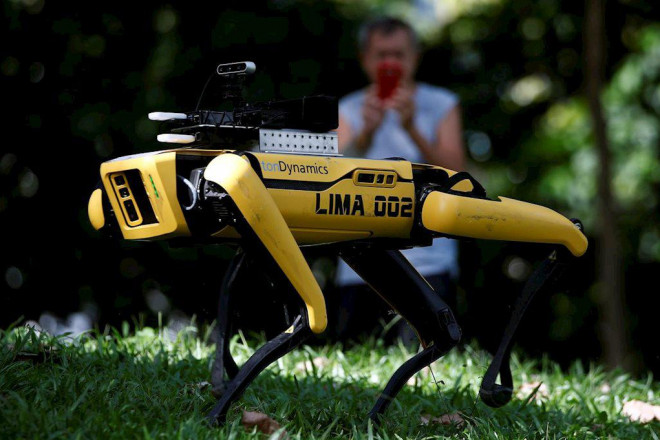 Chú chó robot SPOT được triển khai tại công viên Singapore từ 8/5. Ảnh: Reuters