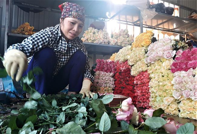 Đóng gói hoa hồng tại cơ sở thu mua hoa của gia đình chị Nguyễn Thị Như
