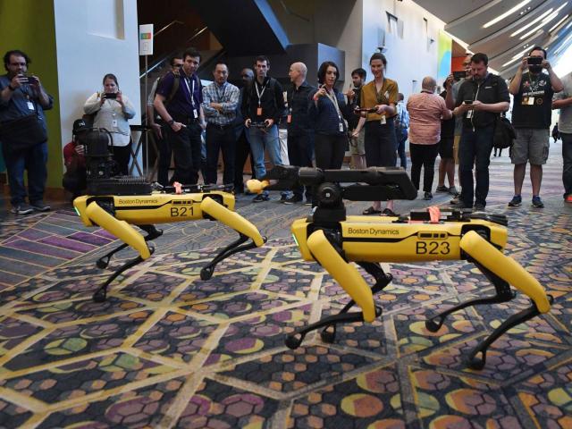 Phi thường - kỳ quặc - Singapore sử dụng chó robot đảm bảo giãn cách xã hội