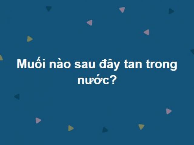 Giáo dục - du học - Thông minh thôi chưa đủ để trả lời đúng hết bộ câu hỏi này