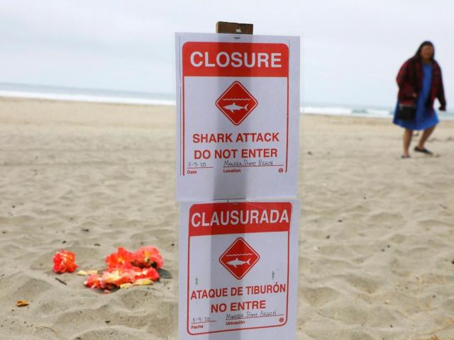 Thế giới - Mỹ: Bất chấp quy định giãn cách, thanh niên ra biển lướt sóng và nhận cái kết thảm khốc