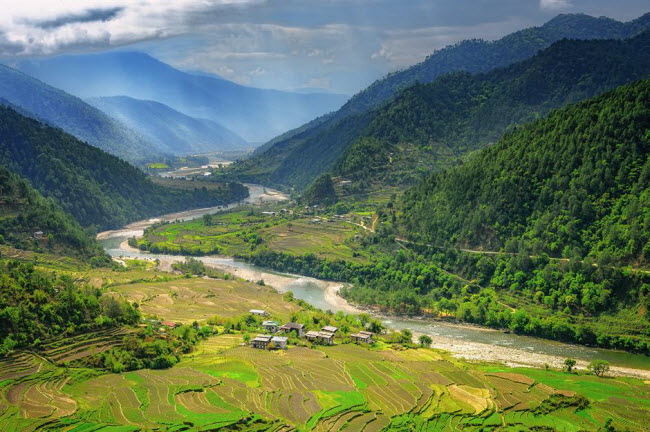 Bhutan: Quốc gia châu Á này gần như không bị ảnh hưởng bởi cuộc sống hiện đại. Hiến pháp của Bhutan yêu cầu hơn 60% diện tích đất được bao phủ bởi rừng. Điều này đã tạo ra một hệ sinh thái đa dạng dành cho các loài động vật như gấu trúc đỏ, lợn rừng, báo tuyết và gấu Himalaya.
