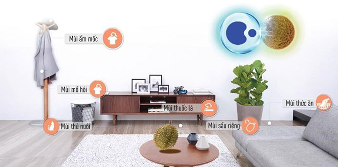 Mùi là một trong những tác nhân gây ô nhiễm không khí trong nhà.