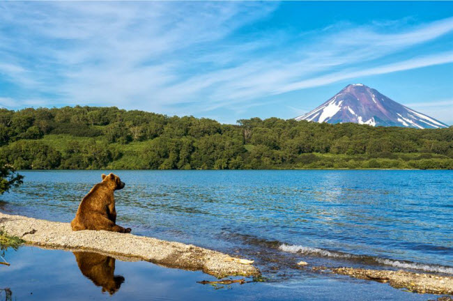 Bán đảo Kamchatka, Nga: Với dòng sông băng, mạch phun nước nóng và núi lửa, bán đảo Kamchatka ở vùng Viễn Đông của Nga là vùng đất cực kỳ hoang dã. Nơi đây có khoảng 15.000 đến 30.000 con gấu và 29 núi lửa đang hoạt động.
