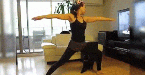 Sen khốn khổ với những chú chó "láu cá" - 5