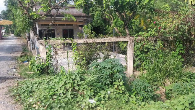 Phía trước căn nhà, cánh cửa và tường rào bị che phủ bởi những cây cỏ dại khiến căn nhà càng thêm cô tịch
