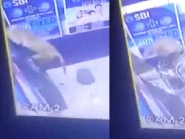 Media - Bất ngờ với kẻ đột nhập phá hoại cây ATM trong đêm