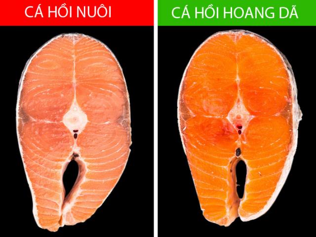 Ẩm thực - Coi chừng lợi ít hại nhiều khi sử dụng những "siêu thực phẩm" này