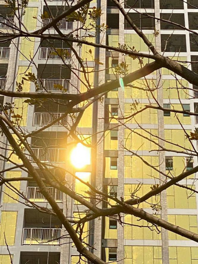 Kính phản quang màu vàng tại công trình Tổ hợp khách sạn căn hộ P.A Tower gây chói loá. 