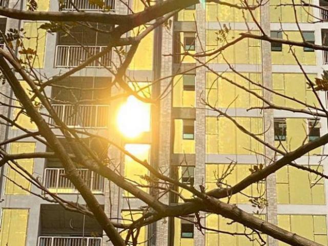 Tin tức trong ngày - Chủ cao ốc "dát vàng" xin thí điểm chống phản quang để tránh chói loá